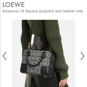 ISO IN SEARCH OF! Loewe Amazona 19 Square Jacquard & Leather Bag